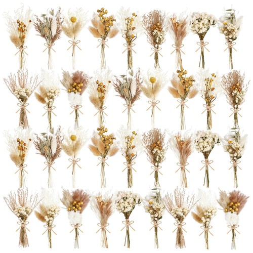 Pack mini dried - pack,